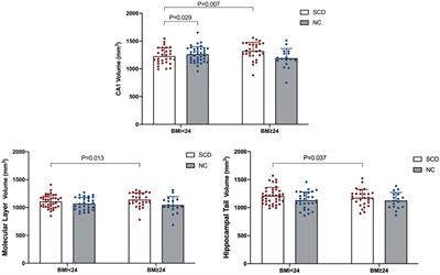 Body mass index related to executive function and hippocampal subregion volume in subjective cognitive decline